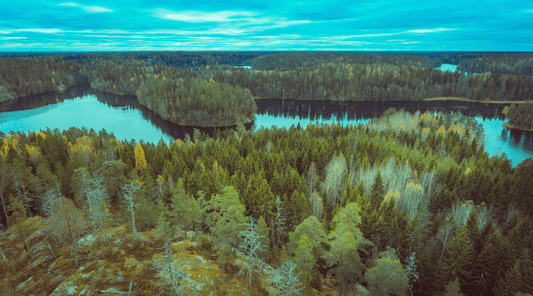 A view over a lake in Finland