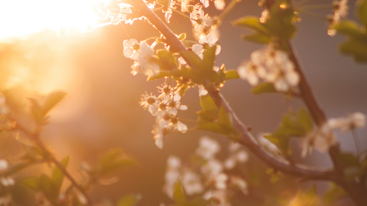 5 ways to prep your skin for the spring